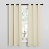 NICETOWN Kitchen Curtains, Short Curtains, 1 Pair, 34″ x 63″, Beige