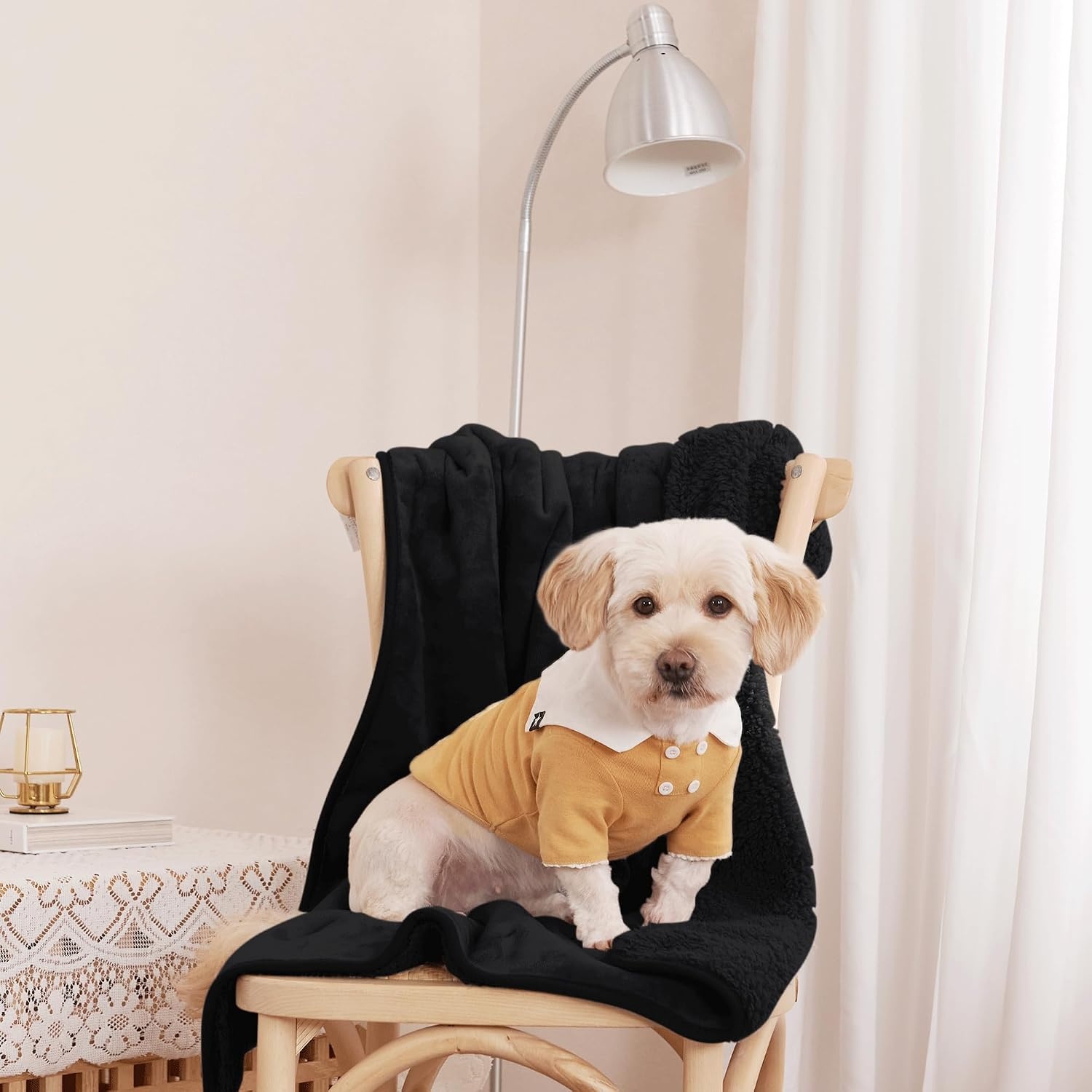 image:imageNICETOWN Grey Fleece Twin Blanket 300GSM Soft Lightweight Plush Cozy Twin Blankets for Bed Sofa Couch Travel Camping 60x80 inchesBlack Dog Bed Blanket