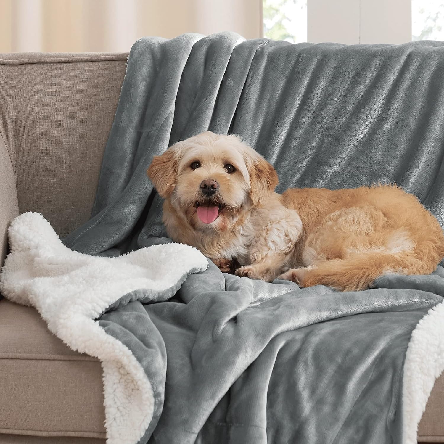 image:imageNICETOWN Grey Fleece Twin Blanket 300GSM Soft Lightweight Plush Cozy Twin Blankets for Bed Sofa Couch Travel Camping 60x80 inchesSherpa Fleece Light Grey