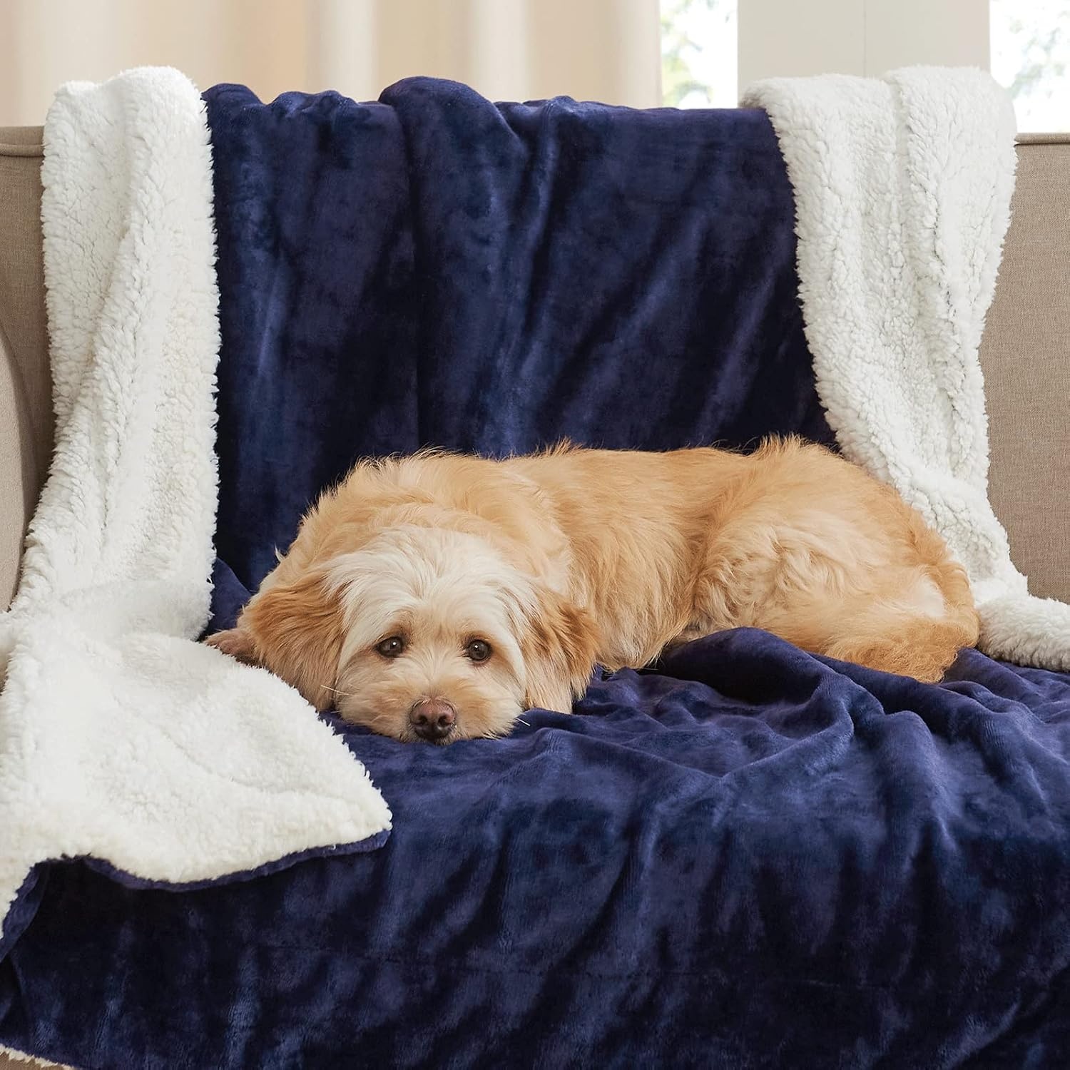 image:imageNICETOWN Grey Fleece Twin Blanket 300GSM Soft Lightweight Plush Cozy Twin Blankets for Bed Sofa Couch Travel Camping 60x80 inchesSherpa Fleece Navy Blue