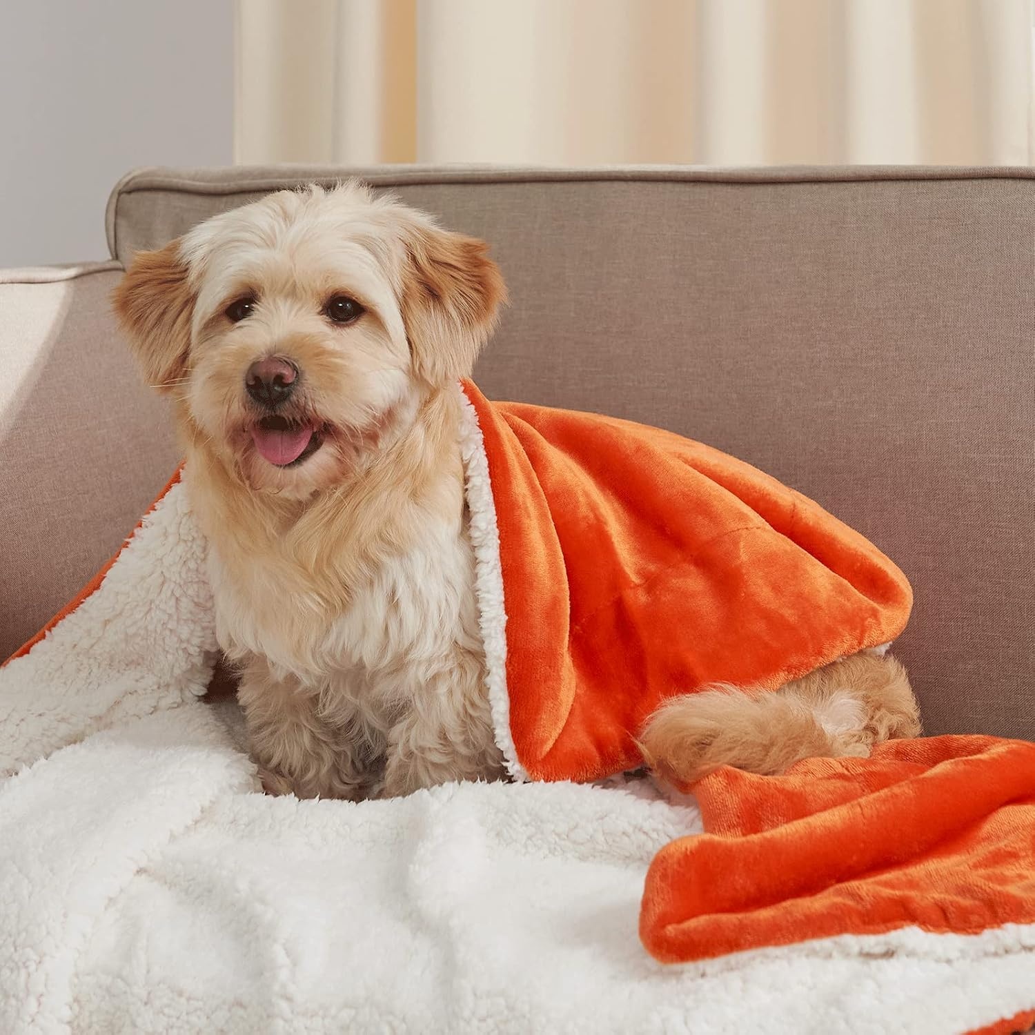 image:imageNICETOWN Grey Fleece Twin Blanket 300GSM Soft Lightweight Plush Cozy Twin Blankets for Bed Sofa Couch Travel Camping 60x80 inchesSherpa Fleece Orange