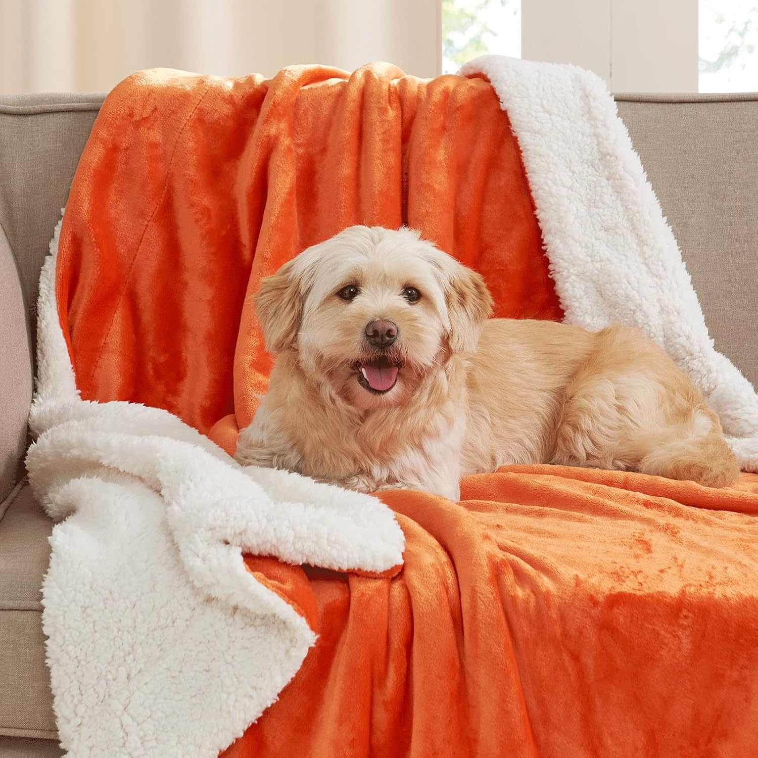 image:imageNICETOWN Grey Fleece Twin Blanket 300GSM Soft Lightweight Plush Cozy Twin Blankets for Bed Sofa Couch Travel Camping 60x80 inchesSherpa Fleece Orange