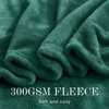 NICETOWN Grey Fleece Twin Blanket – 300GSM Soft Lightweight Plush Cozy Twin Blankets for Bed, Sofa, Couch, Travel, Camping, 60×80 inches(Forest Green)