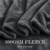 NICETOWN Grey Fleece Twin Blanket – 300GSM Soft Lightweight Plush Cozy Twin Blankets for Bed, Sofa, Couch, Travel, Camping, 60×80 inches(Grey)