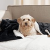 NICETOWN Grey Fleece Twin Blanket – 300GSM Soft Lightweight Plush Cozy Twin Blankets for Bed, Sofa, Couch, Travel, Camping, 60×80 inches(Sherpa & Fleece – Black)