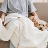 NICETOWN Grey Fleece Twin Blanket – 300GSM Soft Lightweight Plush Cozy Twin Blankets for Bed, Sofa, Couch, Travel, Camping, 60×80 inches(Sherpa & Fleece – White)