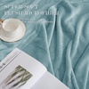 NICETOWN Grey Fleece Twin Blanket – 300GSM Soft Lightweight Plush Cozy Twin Blankets for Bed, Sofa, Couch, Travel, Camping, 60×80 inches(Stone Blue)