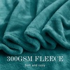 NICETOWN Grey Fleece Twin Blanket – 300GSM Soft Lightweight Plush Cozy Twin Blankets for Bed, Sofa, Couch, Travel, Camping, 60×80 inches(Teal)