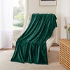 NICETOWN Grey Fleece Twin Blanket – 300GSM Soft Lightweight Plush Cozy Twin Blankets for Bed, Sofa, Couch, Travel, Camping, 60×80 inches(Forest Green)
