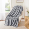 NICETOWN Grey Fleece Twin Blanket – 300GSM Soft Lightweight Plush Cozy Twin Blankets for Bed, Sofa, Couch, Travel, Camping, 60×80 inches(Light Grey)