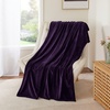 NICETOWN Grey Fleece Twin Blanket – 300GSM Soft Lightweight Plush Cozy Twin Blankets for Bed, Sofa, Couch, Travel, Camping, 60×80 inches(Purple)
